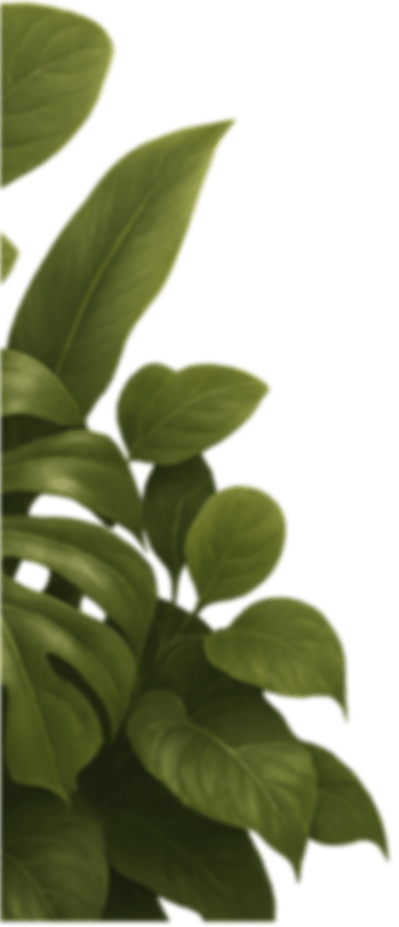 Folhagem tropical