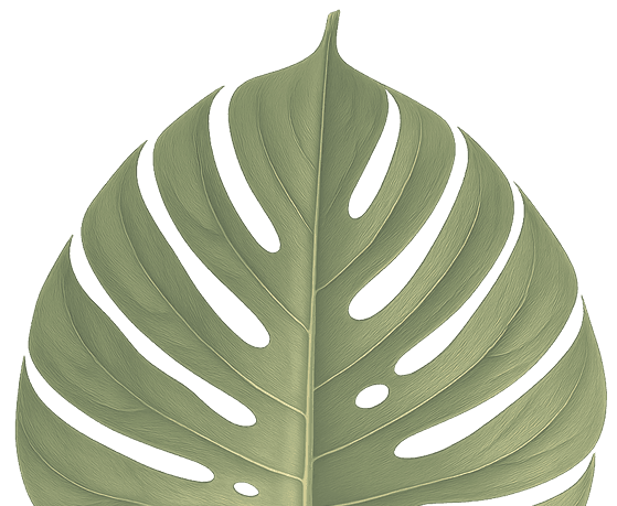 Folhagem tropical