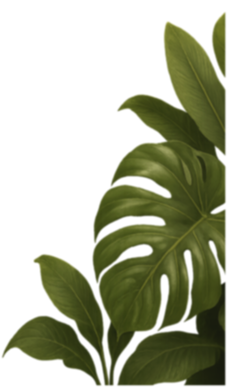 Folhagem tropical